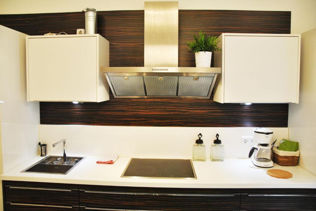 Apartament Schoenbrunn Park Viena